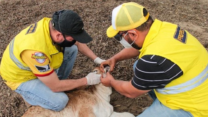 Agricultores y ganaderos de las zonas afectadas son atendidos por la Prefectura de los Ríos
