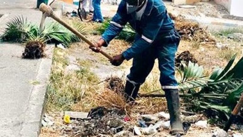 Alcaldía de Esmeraldas siembra palmeras en micro basural