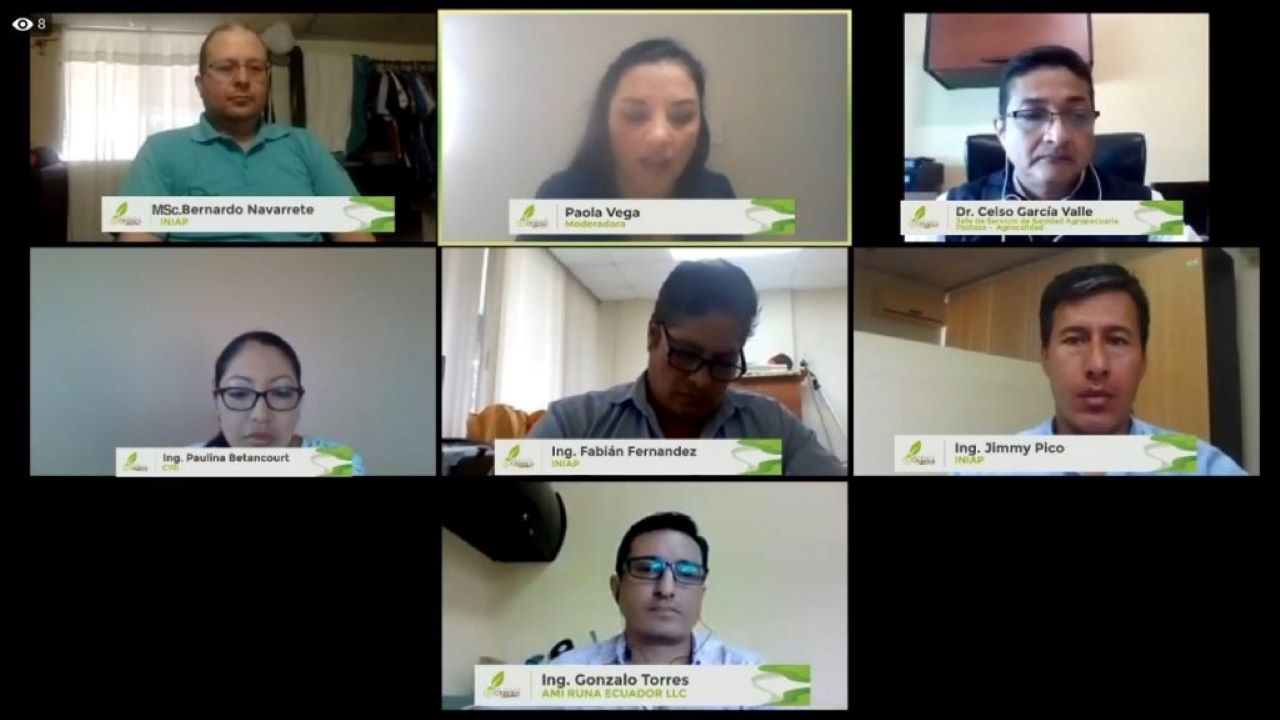 Cacao, café, caña de azúcar y la guayusa brindan alternativas de mejora económica al país