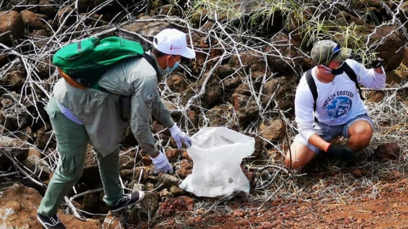Jornada ecológica por el Día Internacional de la Limpieza de Playas