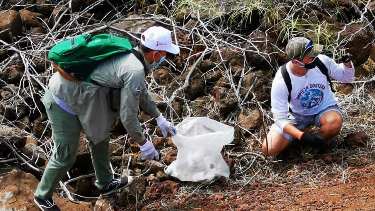 Jornada ecológica por el Día Internacional de la Limpieza de Playas