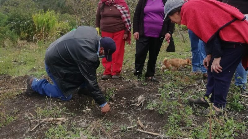 La Prefectura de Chimborazo brinda seguimiento técnico y permanente a proyecto de frutales en Penipe y San Luis