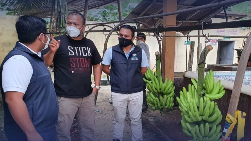 Municipio de Machala notifica a propietarios de bananeras en El Retiro