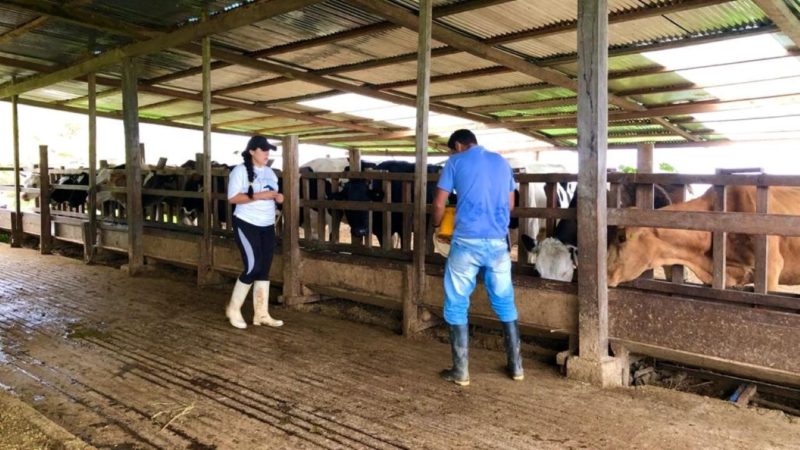 Prefectura apoya a productores de Chinchipe a través de AGROPZACHIN