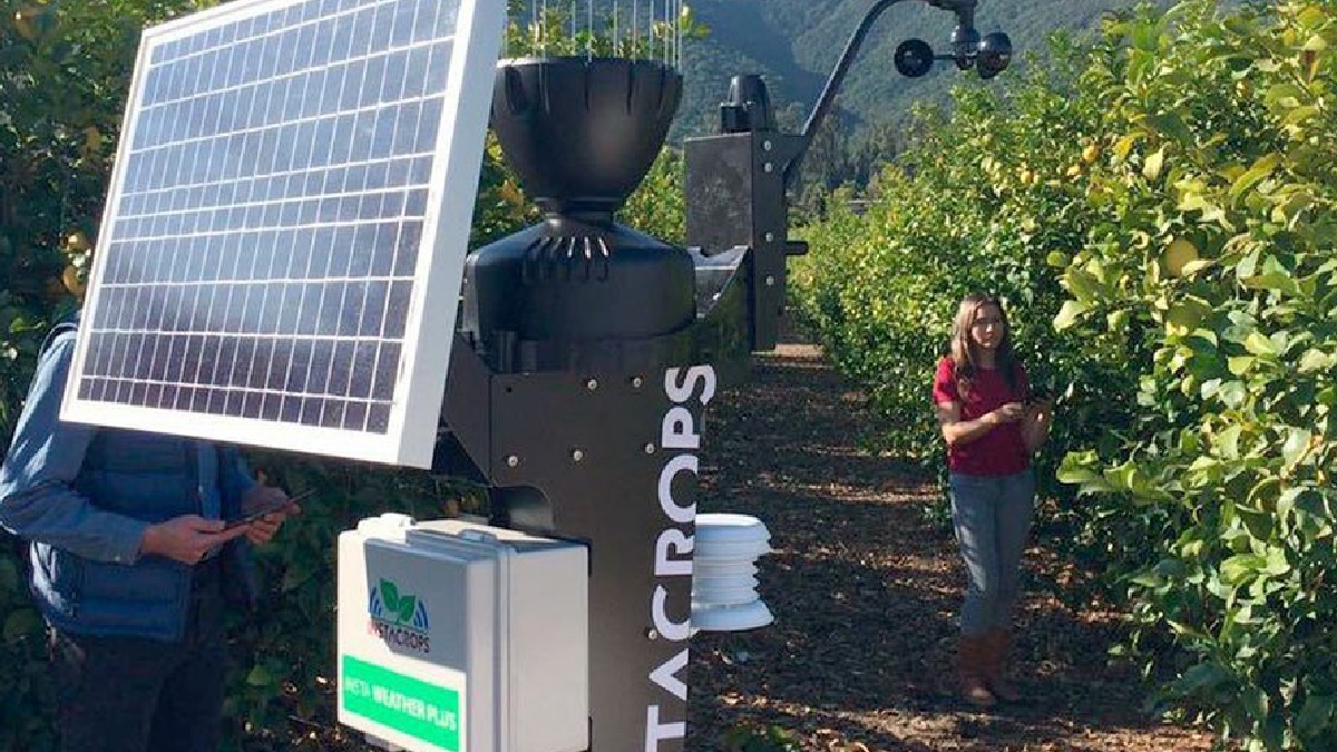El asistente virtual para agricultores creado en Chile que se adjudicó un importante fondo en Sillicon Valley