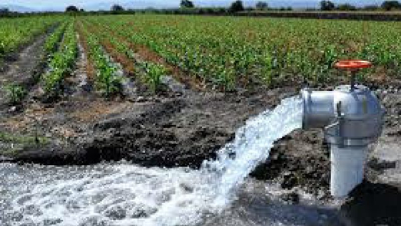 Fertilizantes e irrigación en agricultura provocarán desabastecimiento alimentario en 2050