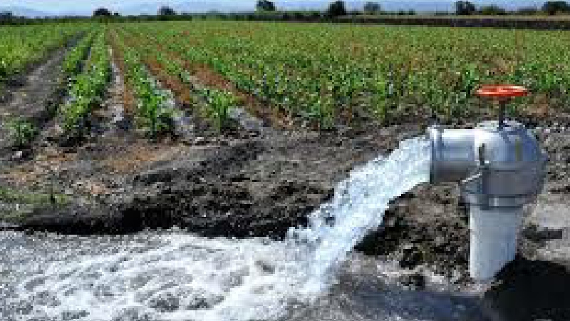 Fertilizantes e irrigación en agricultura provocarán desabastecimiento alimentario en 2050