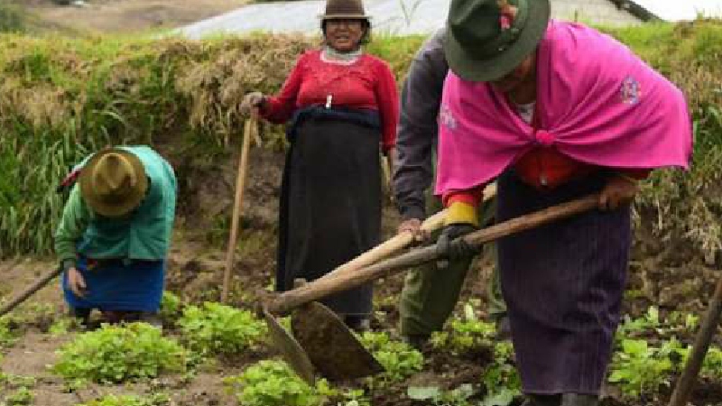 Día Internacional de las Mujeres Rurales