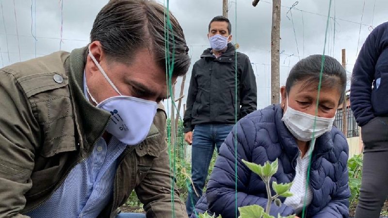Día Mundial de la Alimentación