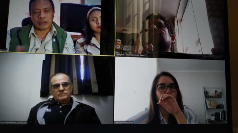 DPNG participa en la Convención para la Protección de Tortugas Marinas