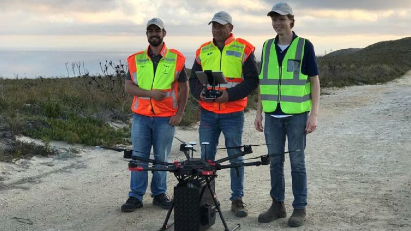 Drones que lanzan semillas para que los koalas vuelvan a tener alimentos tras los devastadores incendios de Australia