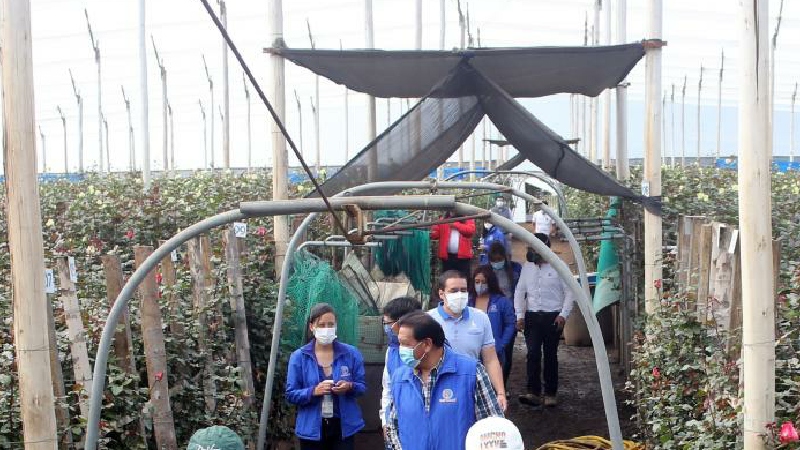 El turismo, al rescate de las florícolas