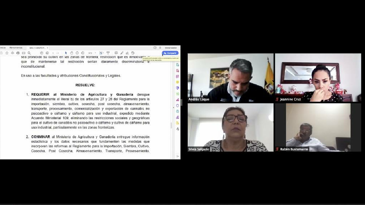 Grupo parlamentario pide derogatoria inmediata de la prohibición de siembra de cannabis en las provincias fronterizas