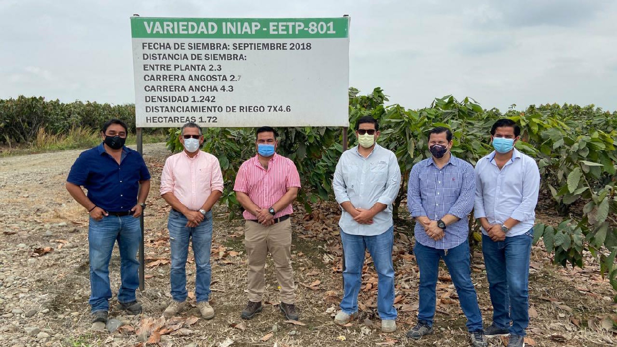 INIAP refuerza lazos con el sector privado para propagación de materiales de cacao
