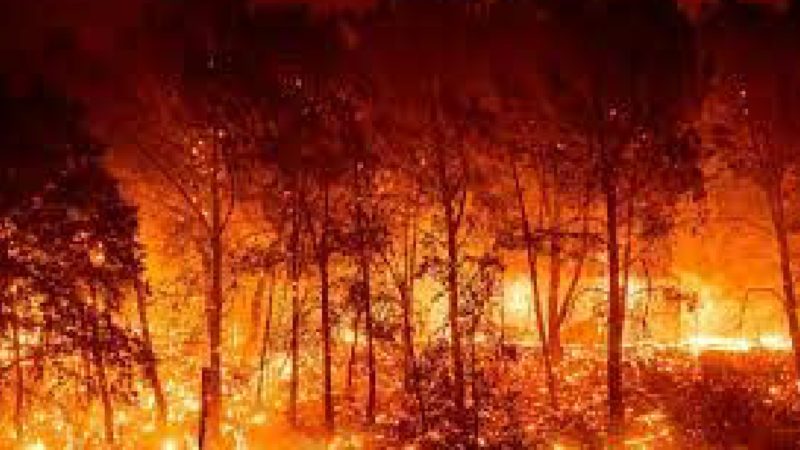 Incendios forestales en California obligan a evacuar a unas 60 mil personas