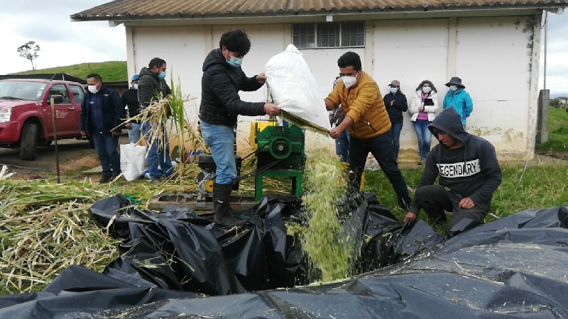 Manejo orgánico de pastos, una opción para ganaderos azuayos