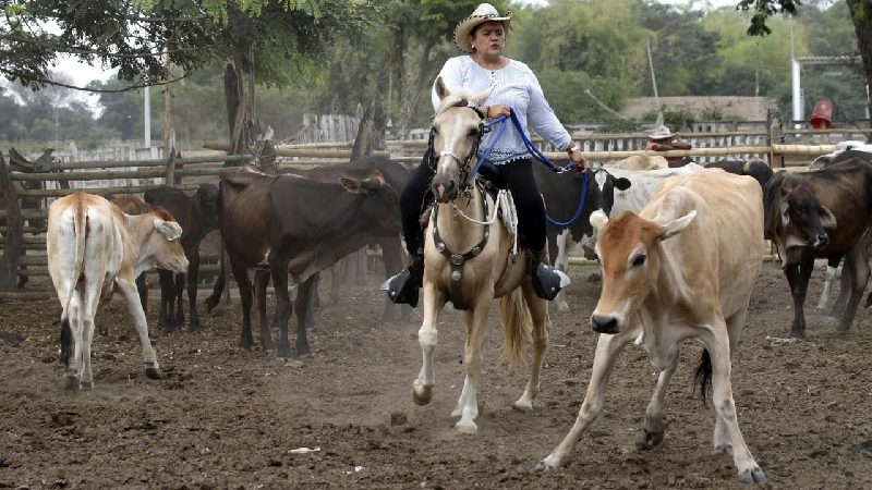 Prefectura del Guayas celebra a la Mujer Rural