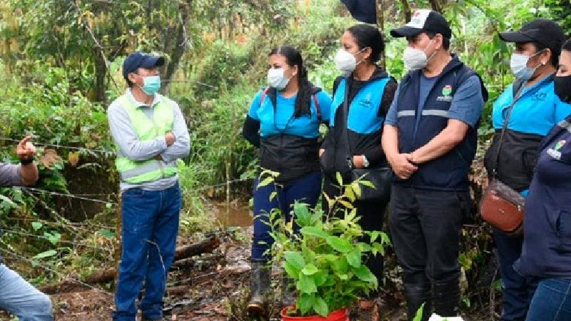 Prefectura de Santo Domino reforesta cuenca alta del Río Quinde