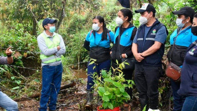 Prefectura de Santo Domino reforesta cuenca alta del Río Quinde
