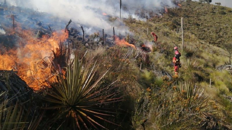 34 incendios forestales se registraron en el austro ecuatoriano