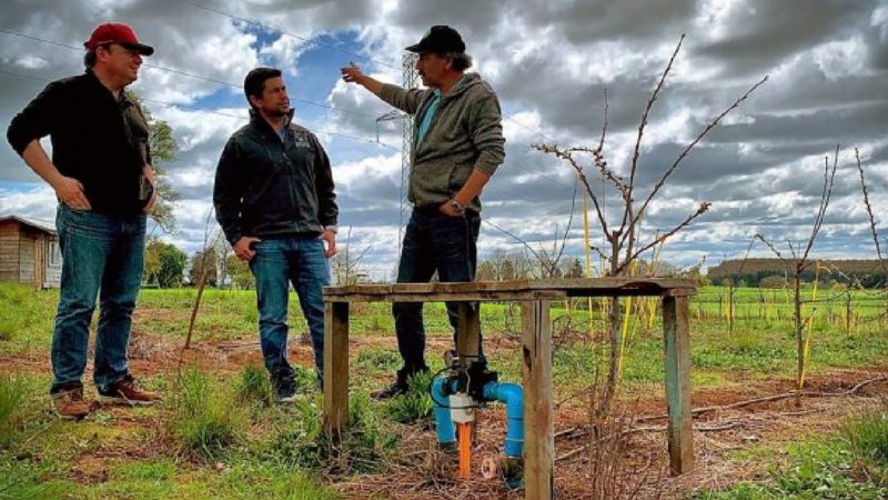 Agricultores del Biobío reciben jornada de capacitación sobre seguro agrícola y apícola