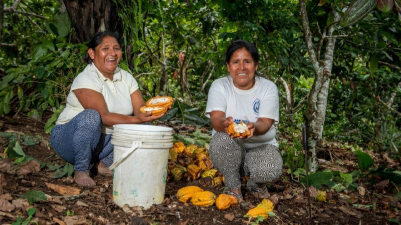 Agro Rural apoya 296 planes de negocios en zonas rurales del Vraem