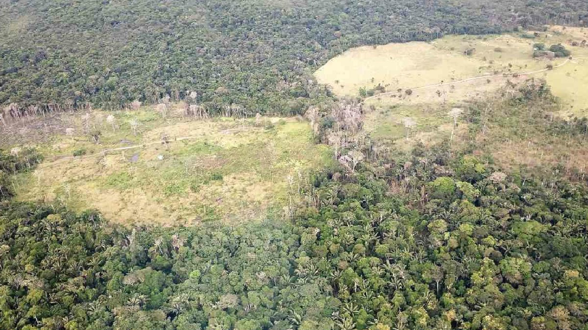 Brasil recibirá 25.5 millones de Alemania para sostenibilidad en la Amazonía