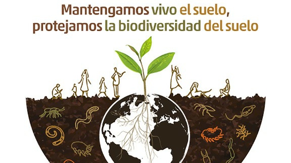 Prefectura de Chimborazo celebrará con ponencias y capacitaciones al “Día Mundial del Suelo”