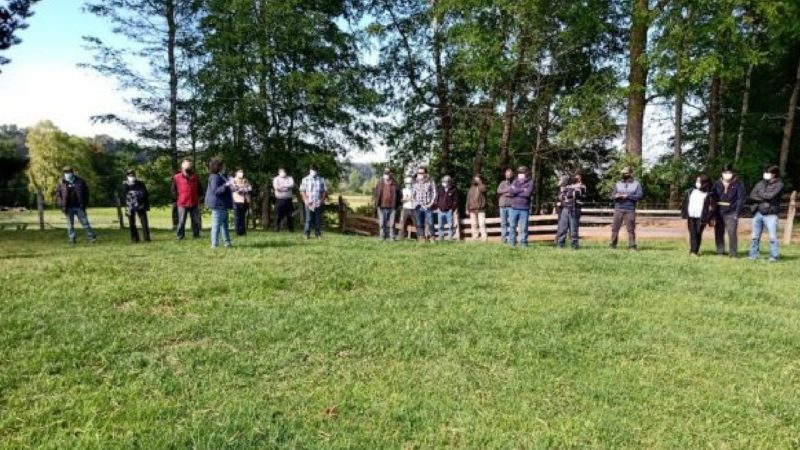 Cumpliendo las normas sanitarias INIA realiza días de campo en el rubro ovino