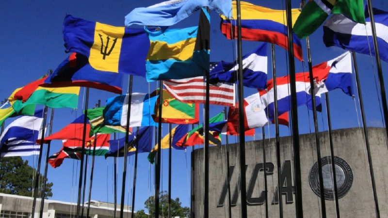 El IICA destaca la transparencia en el comercio de alimentos para atender la demanda