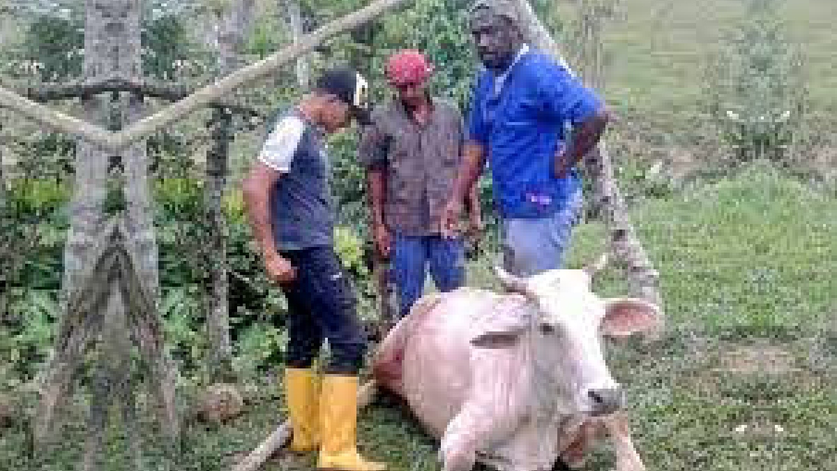 El desarrollo agrícola avanza con el aporte de la Prefectura de Esmeraldas.