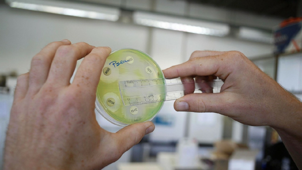 FAO: resistencia a los antimicrobianos afecta bienestar de plantas, animales y personas