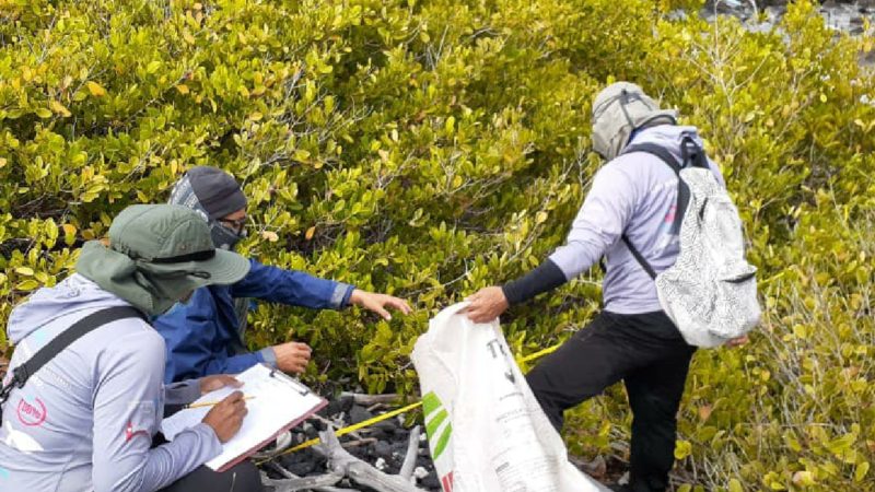 Guardaparques monitorean la basura marina que llega a Galápagos