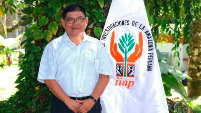 IIAP: Monocultivos desaparecerán la Amazonía