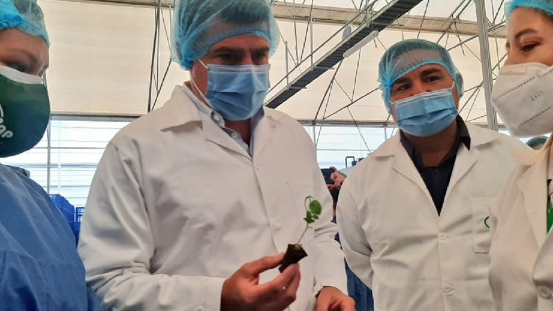 INIAP presenta nuevas variedades de arroz para el desarrollo productivo del país