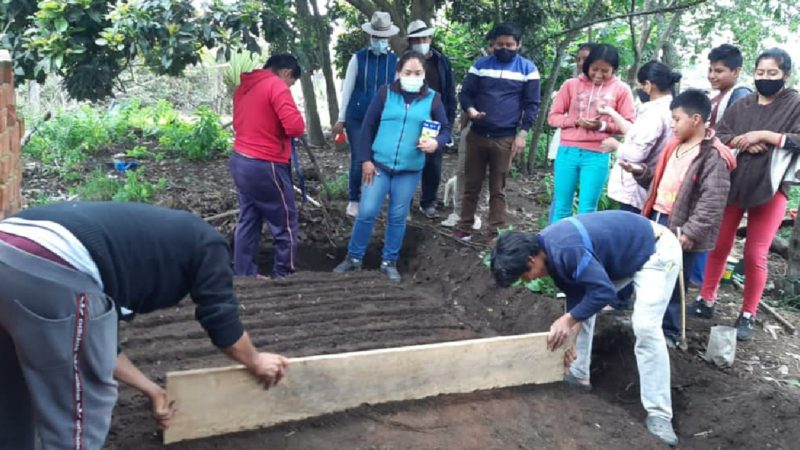 Innovación Agrícola