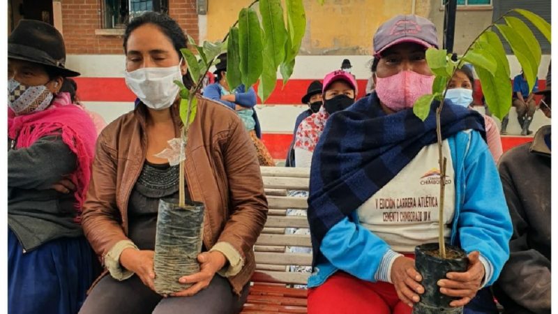 La Campaña “Siembra por la Vida Chimborazo” entrega plantas nativas y frutales en Pistishi