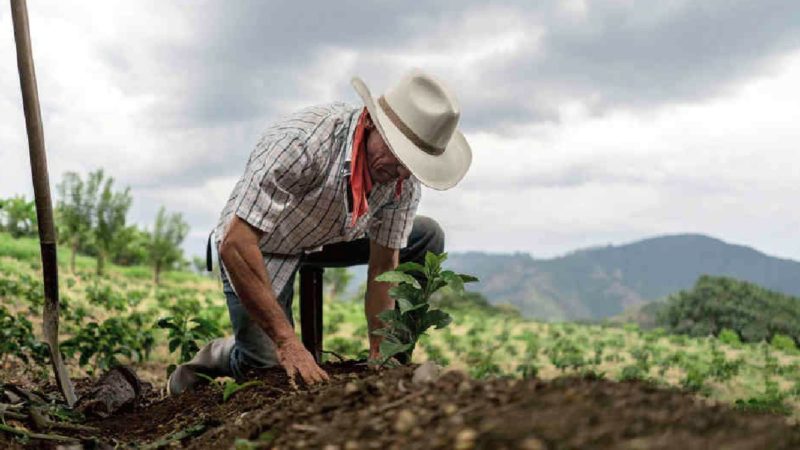 Pandemia sacó a flote las deudas del país con el agro