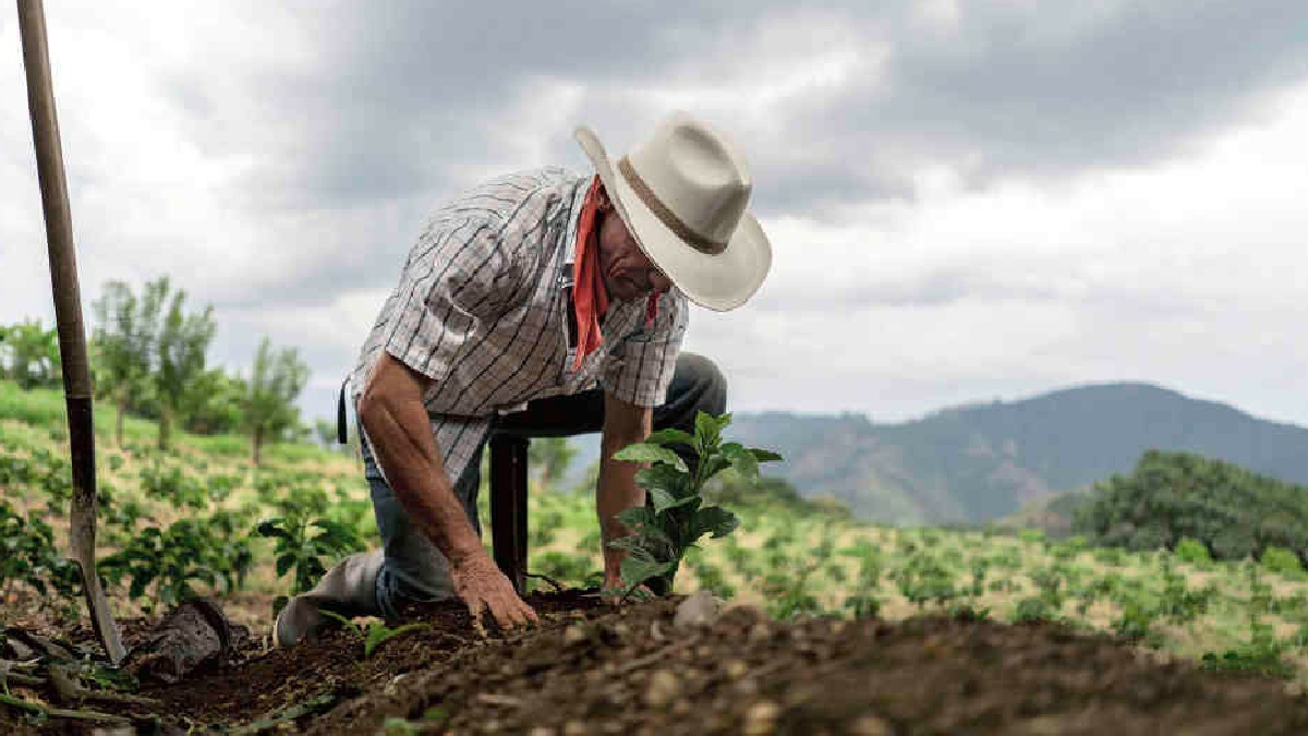 Pandemia sacó a flote las deudas del país con el agro