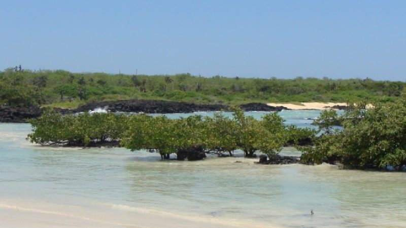 Permisos para campamentos en Playa Roja Y El Garrapatero