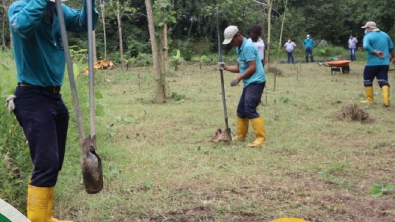 Prefectura comprometida con el cuidado del ecosistema