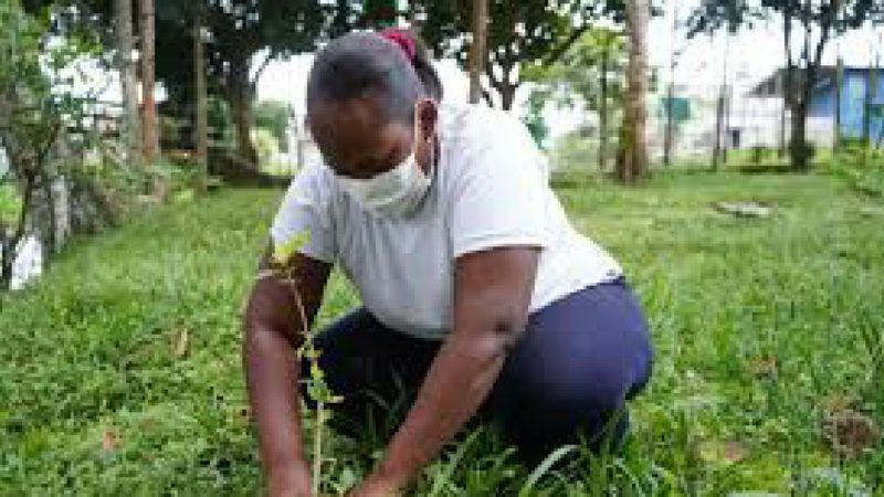 Prefectura de Esmeraldas comprometida con el cuidado del ecosistema.