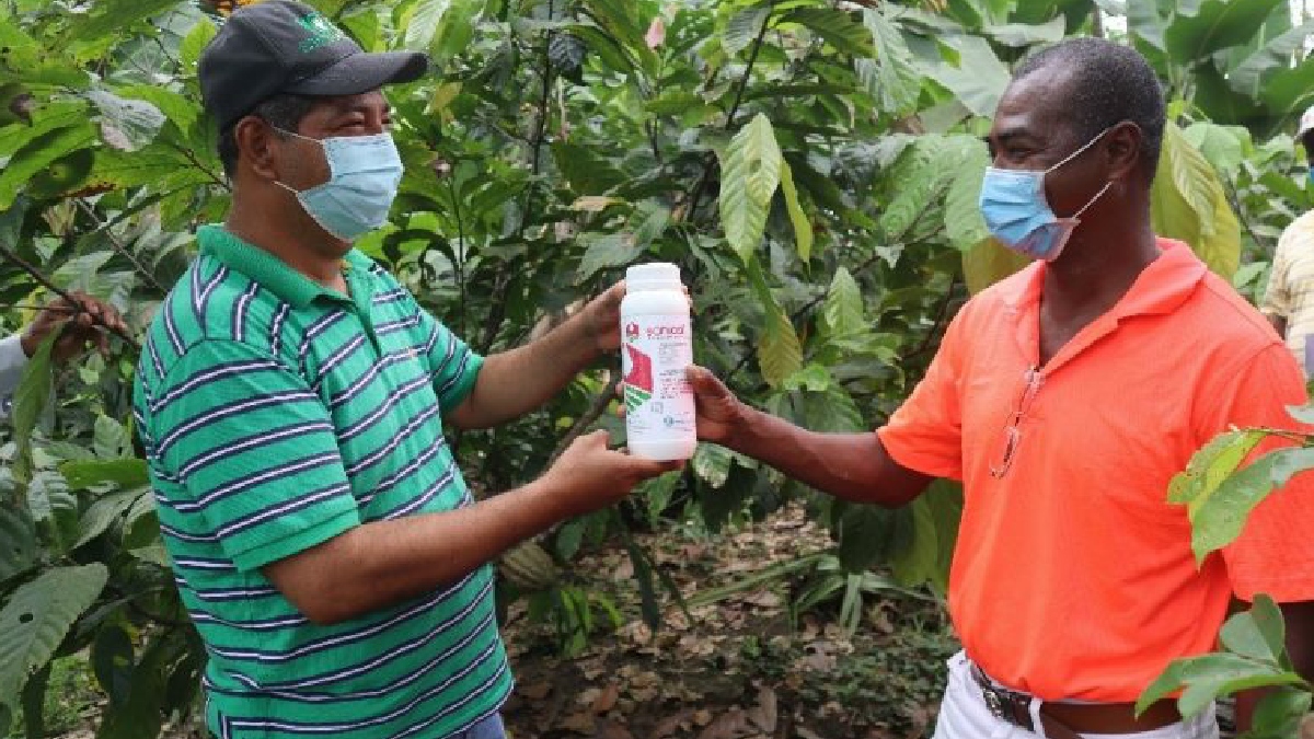 Prefectura entrega fertilizantes para mejorar la producción de cacao.