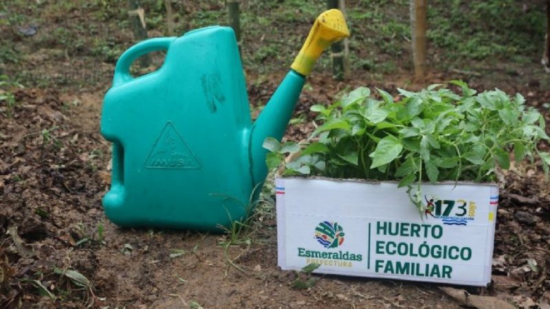 Prefectura entregará 100 huertos familiares en el cantón Muisne.