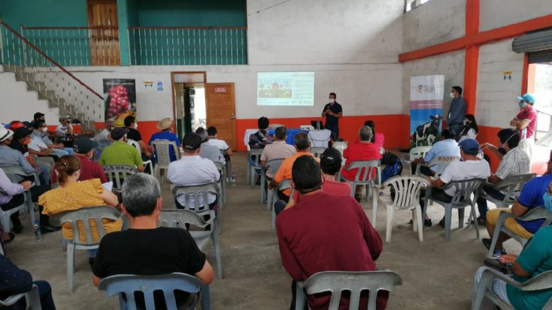 Productores de Echeandía reciben capacitación sobre paquetes tecnológicos del MAG