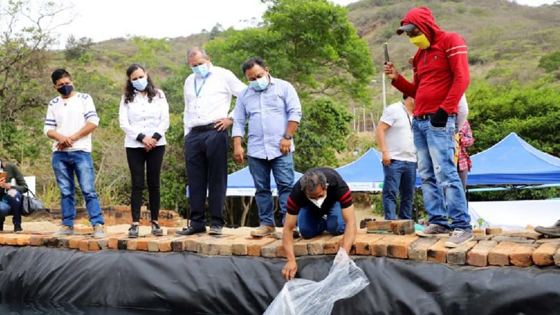 Productores de Paltas reciben alevines de tilapia
