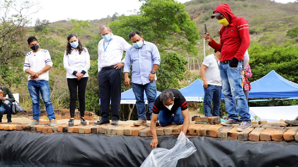 Productores de Paltas reciben alevines de tilapia