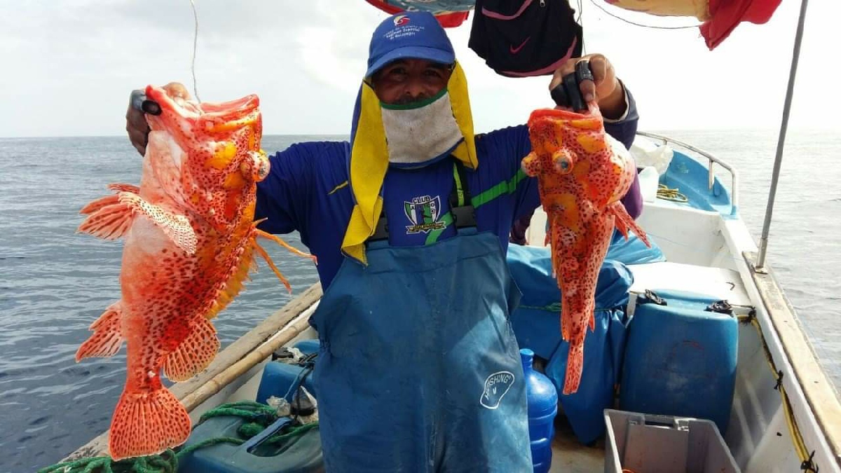 Se analiza propuesta de reforma al reglamento de pesca artesanal