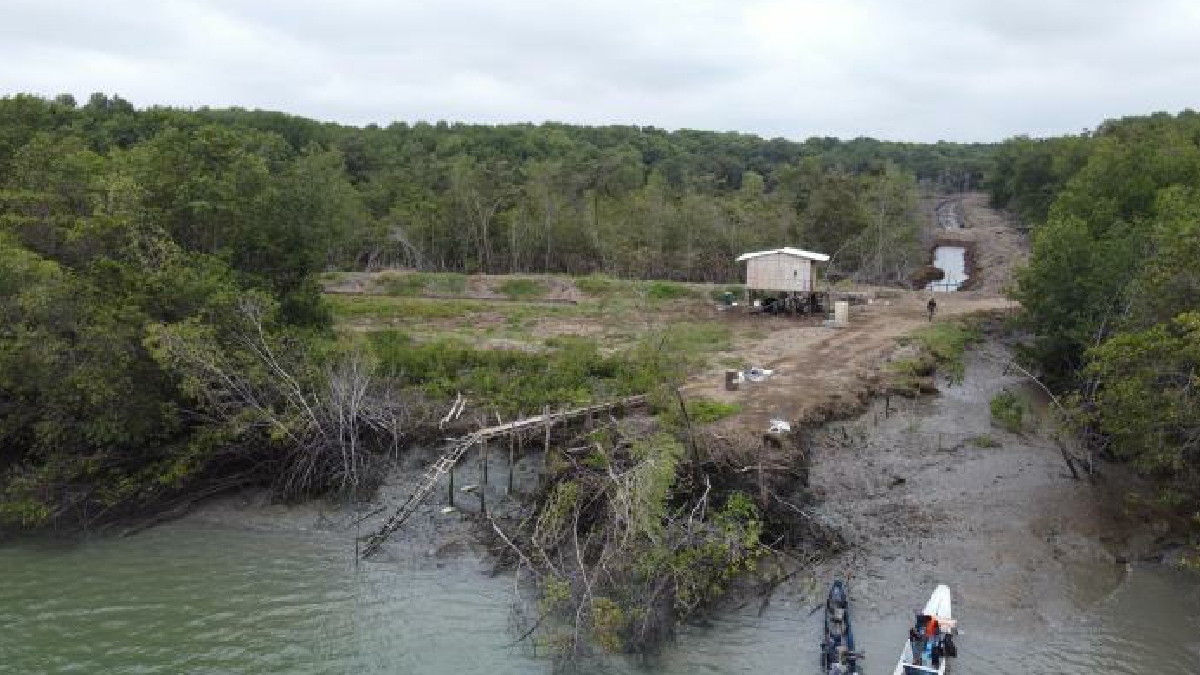 Tala de manglar en el golfo de Guayaquil
