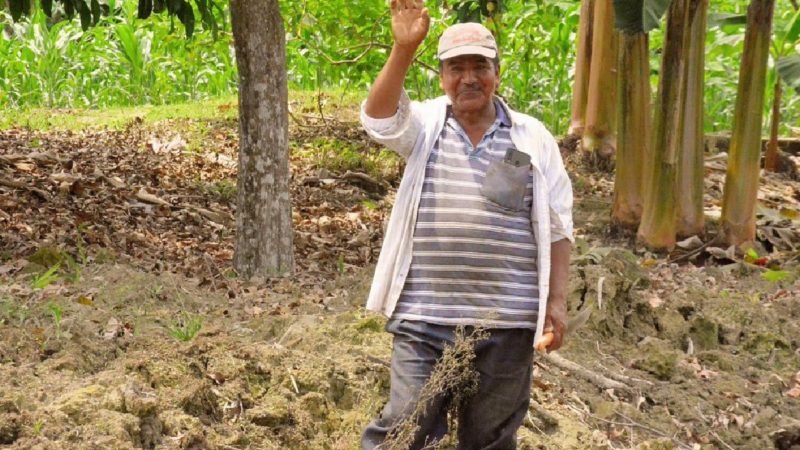 Drenaje de fincas un apoyo para la reactivación productiva